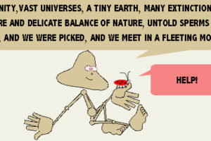 Lady Bug Chance, Different Perspectives